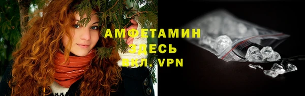 ГАЛЛЮЦИНОГЕННЫЕ ГРИБЫ Няндома