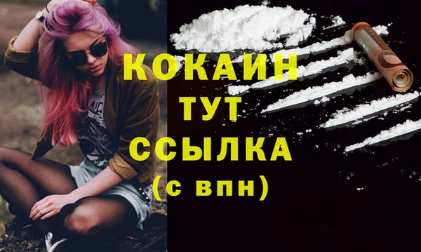 ГАЛЛЮЦИНОГЕННЫЕ ГРИБЫ Няндома