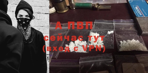 сатива Нязепетровск