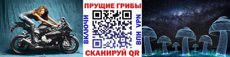 blacksprut   Осташков  Галлюциногенные грибы мицелий 